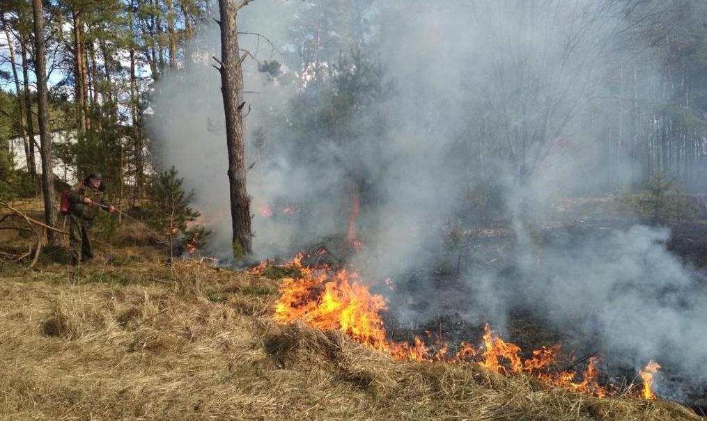 В Пермском крае 3 мая потушили пожар в нежилой деревне