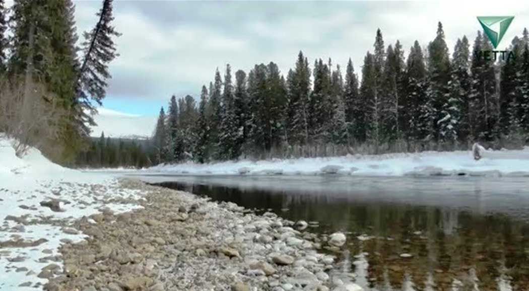 Зимняя жизнь реки